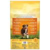 Dry Dog Food;  Grain Free Chicken;  Sweet Potato & Pumpkin Recipe;  24 lb. Bag