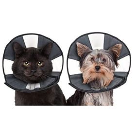 ZenPet Zen Cone Soft Recovery Collar (Option: Small)